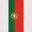 葡萄牙国家足球队红绿双色国旗